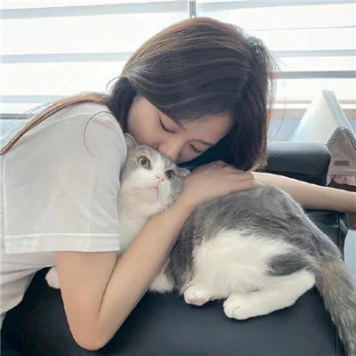 猎赝